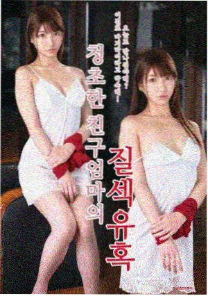 剧集雾中列车封面